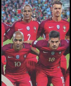 Copa Confederaciones Rusia 2017 – Nº 113