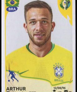 Copa America Brasil 2019 - N° 027