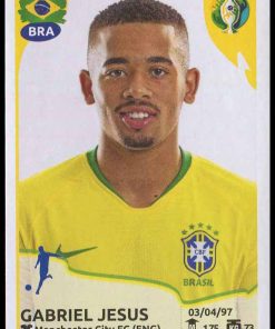 Copa America Brasil 2019 - N° 038