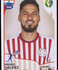 Copa America Brasil 2019 - N° 177