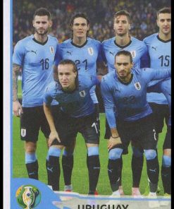 Copa America Brasil 2019 - N° 237