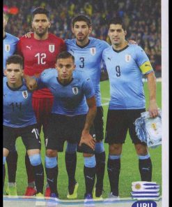 Copa America Brasil 2019 - N° 238