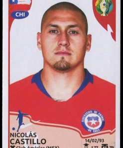 Copa America Brasil 2019 - N° 324