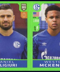 Fifa 365 / 2020 - N° 193