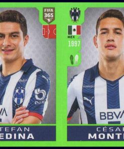 Fifa 365 / 2020 - N° 366