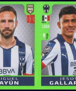 Fifa 365 / 2020 - N° 367