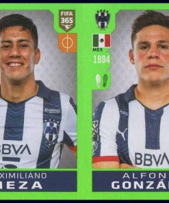 Fifa 365 / 2020 - N° 370