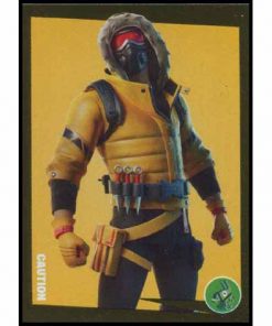 Fortnite - Golden Frame Series - N° 005