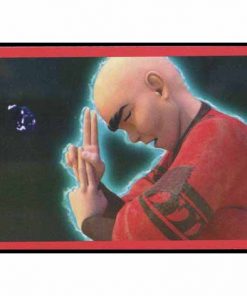 Miraculous - Heroez del Mundo - N° 016